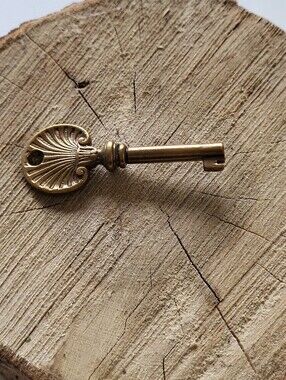 Vintage Decorative Brass Skeleton Key